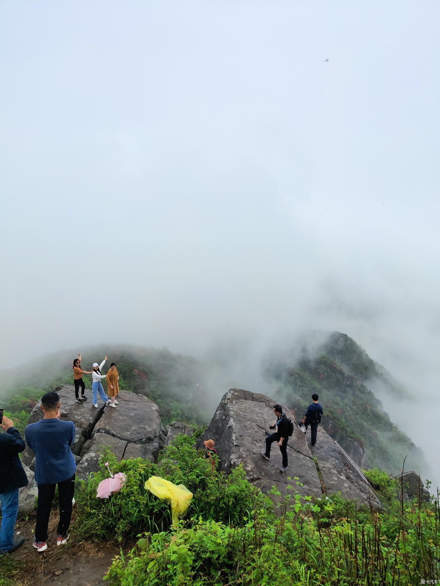 忙里再偷闲 升华山上看杜鹃