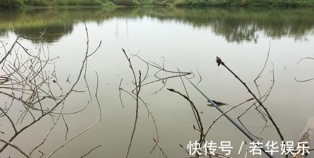 水草|没有水草就不能钓鱼了吗根据这4点来找鱼,下竿之处即咬钩