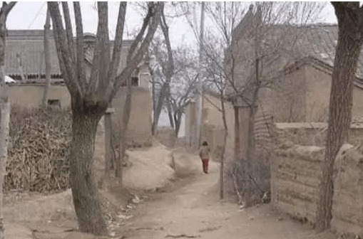 父母|吃饭靠喂,连路都不舍得让他走,被父母极度宠坏的杨锁,后来呢?