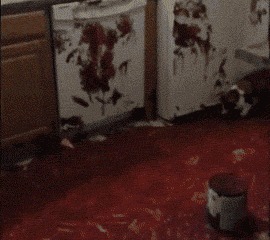 |搞笑GIF趣图：夫妻相相似度百分之九十九，好幸福哦