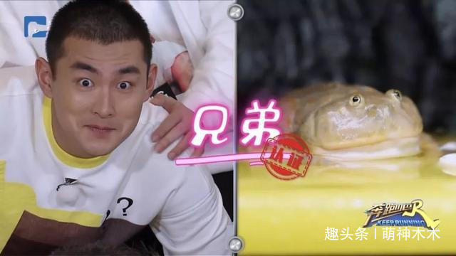 《跑男》宋雨琦情商低還是沒禮貌多次調(diào)侃鄭愷矮,引發(fā)彈幕吐槽