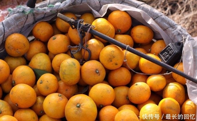 冬天吃橘子好處多多,卻有一大禁忌,還有人不清楚,別犯錯誤了