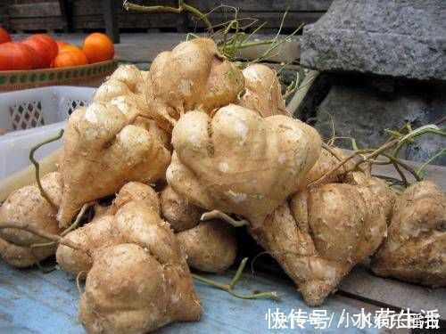 海带|女性10种食物经常吃,排毒瘦身,滋养皮肤,轻松拥有小蛮腰