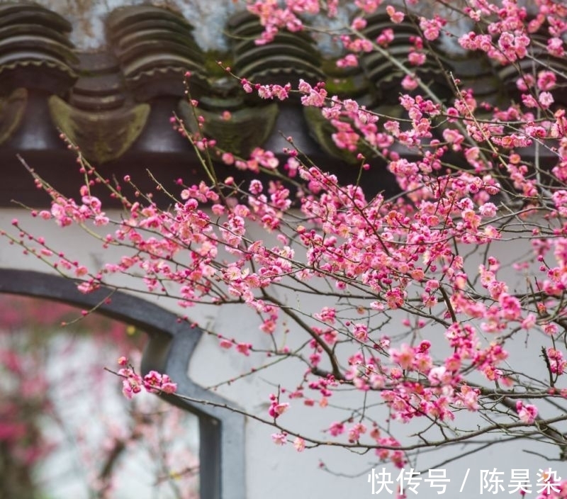 出师表&堪称元代诗词的天花板,居然是这首