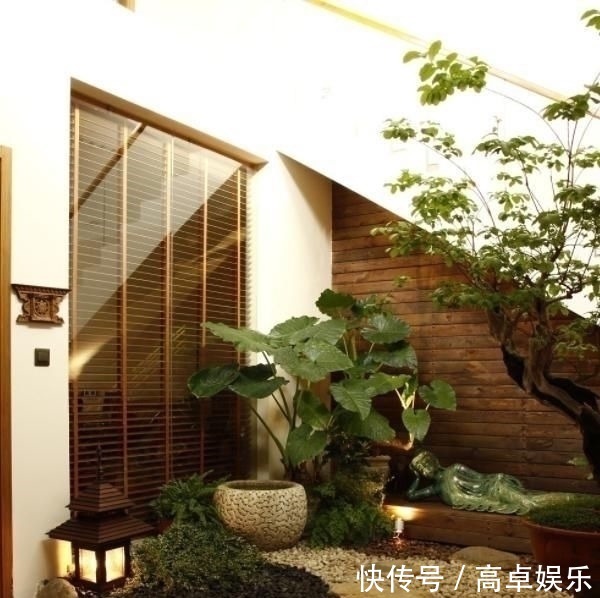 泳池|家里有个院子，就要这样设计，美的就像世外桃源