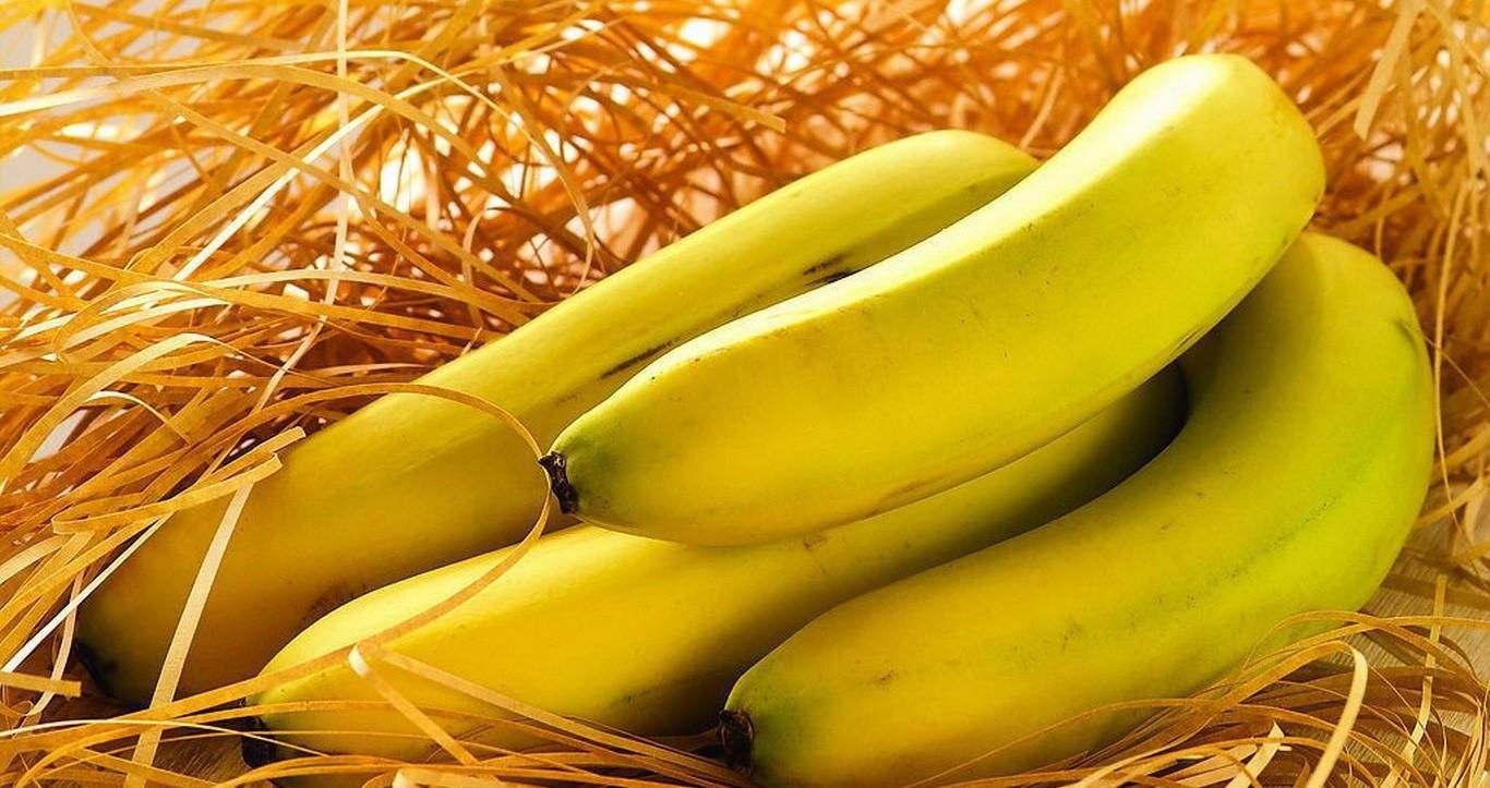 李玫瑾教授：孩子的大脑从饮食上就会产生影响，3点坏习惯要改正