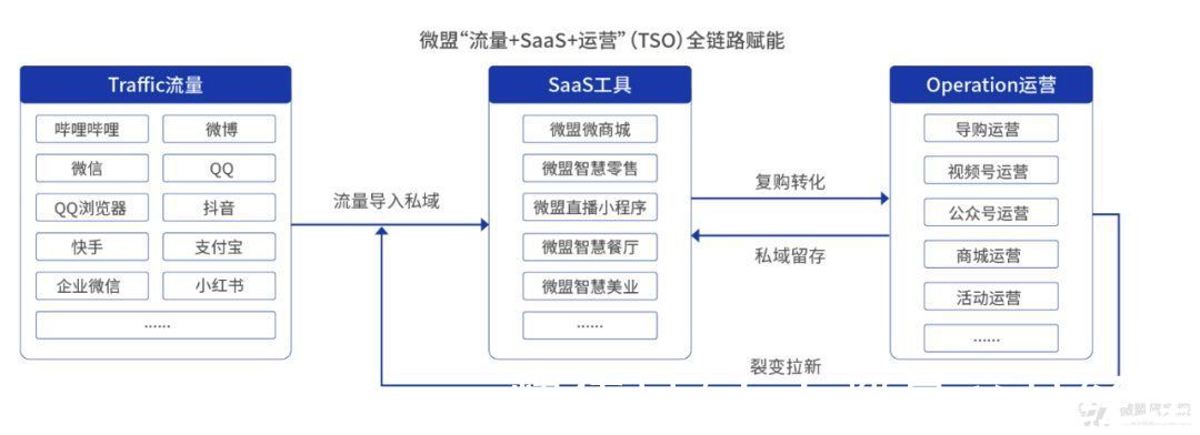 服务商|微盟新消费报告：品牌如何破解“私域流量”