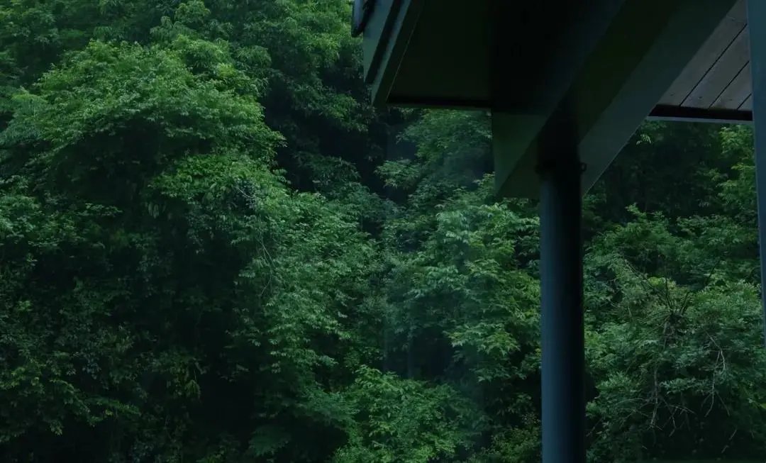 可行道|不雕不琢，越简单越平和