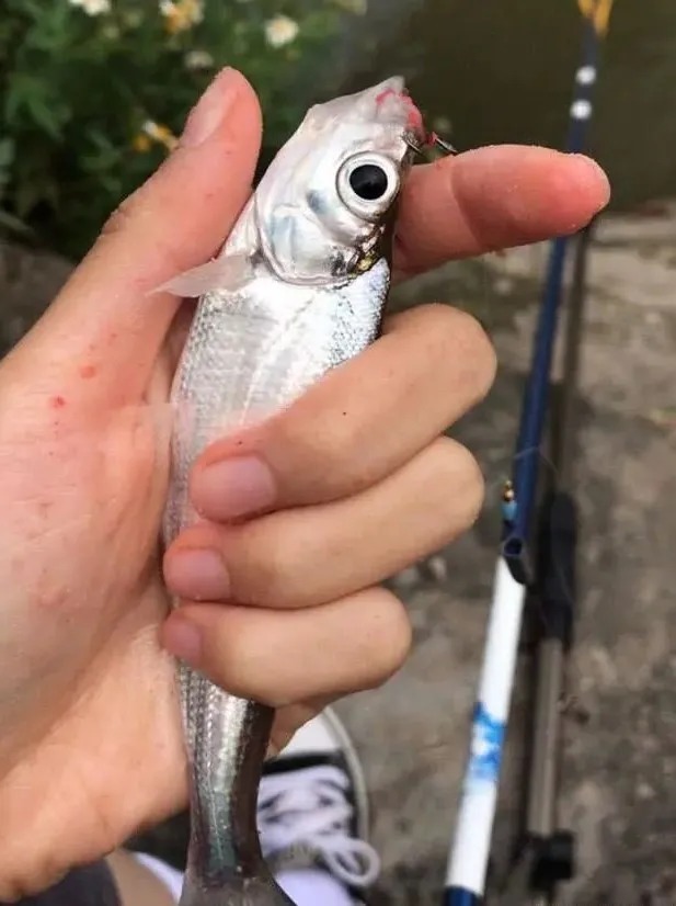 别总抱怨冬天鱼难钓,大胆打破“常规”,包你渔获提升2个档次