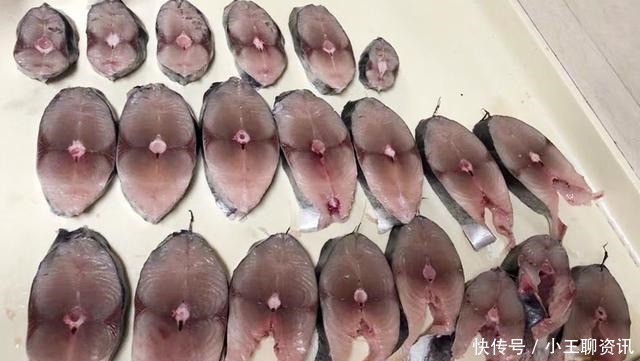 鲅鱼|夏天遇到这鱼，我从不还价，目前无法人工养殖，酱油腌一腌特好吃