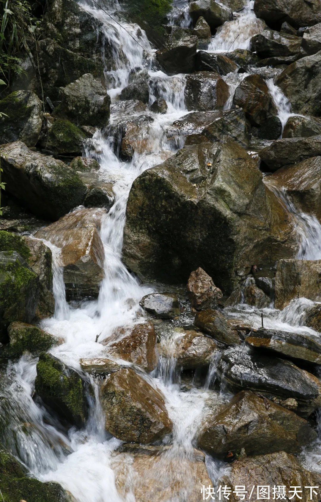 长尾雉|太平峪是北方九寨沟、西安小华山吗？