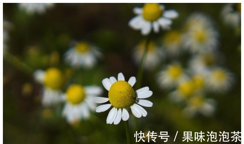 旧爱|7月下旬，执手旧爱，两心相依，大胆付出，3生肖无问西东，爱到