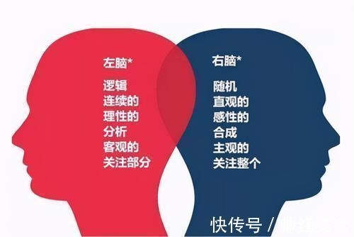 益智游戏|右脑发达的孩子,大多有以下特征,日后多半是学霸的“苗子”