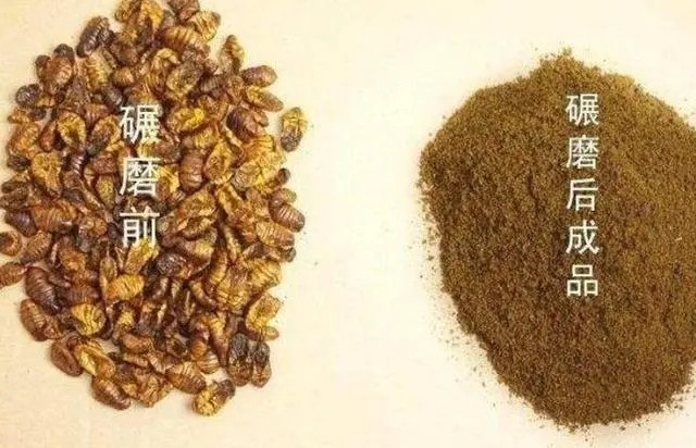 气温低于10℃，其他饵料都比不了“它”，加5瓶小药都没用！