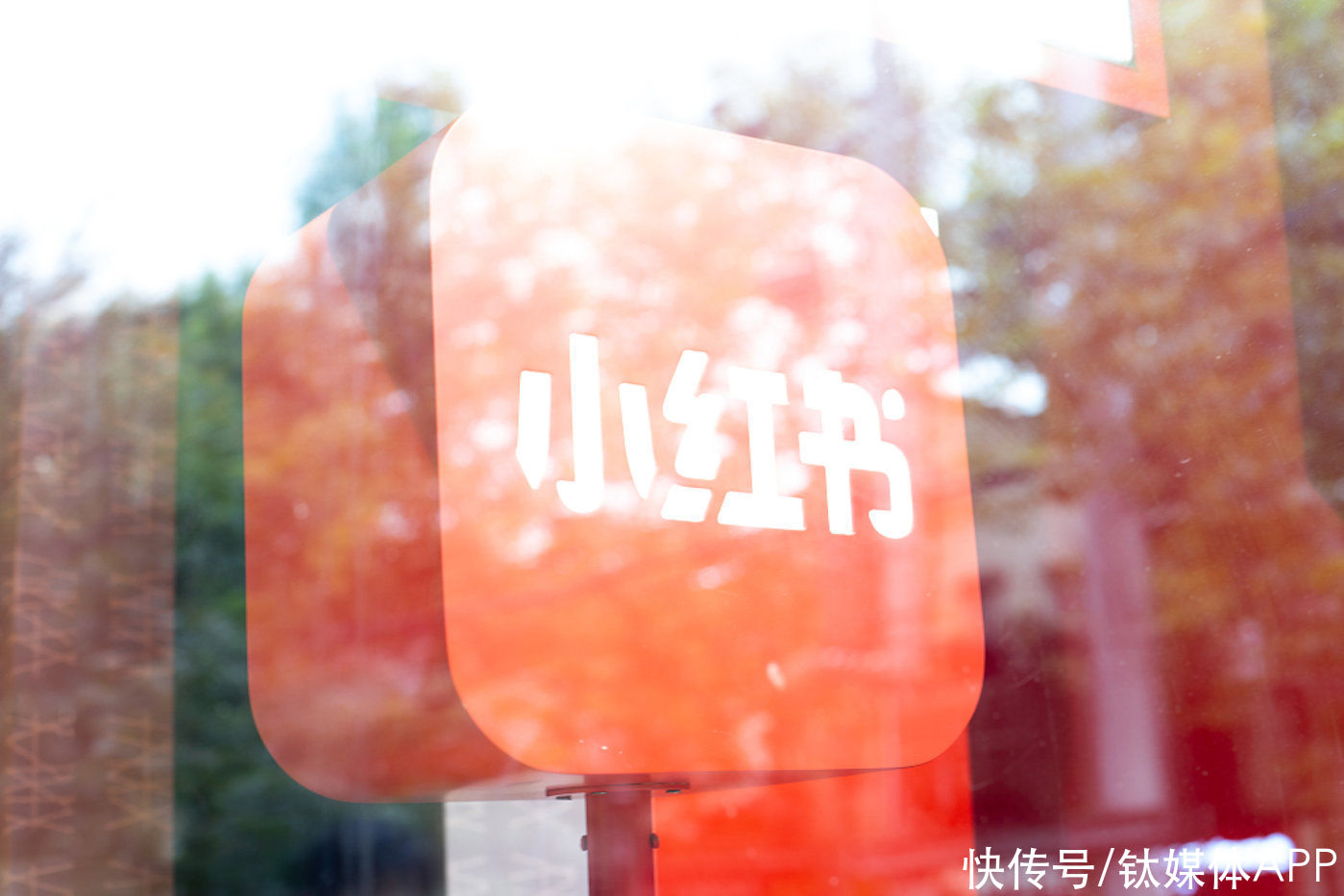 电商|小红书扎堆直播电商，年轻人还够分吗？