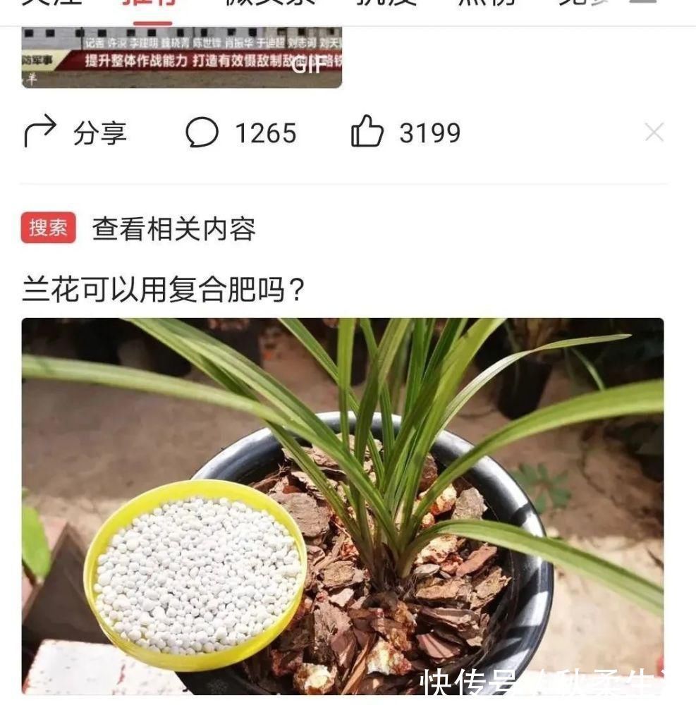 复合肥|兰花可以用复合肥吗?季节、方法、种类,这3者缺一不可