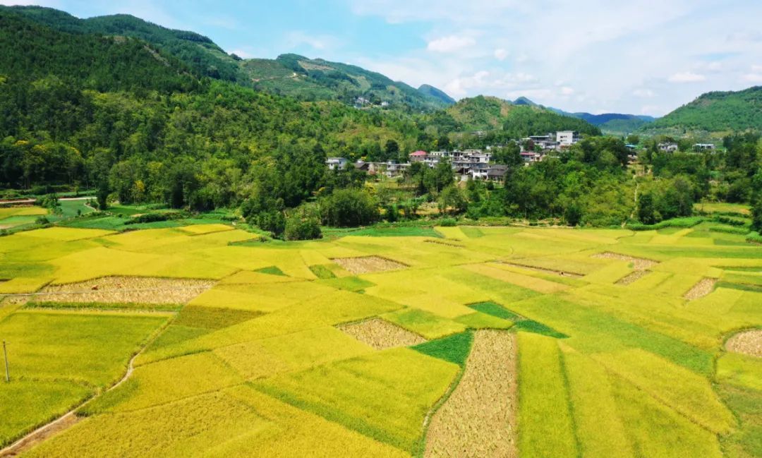 赵健涛|四新四化看德江：一城四区皆胜景，农旅携手再富民