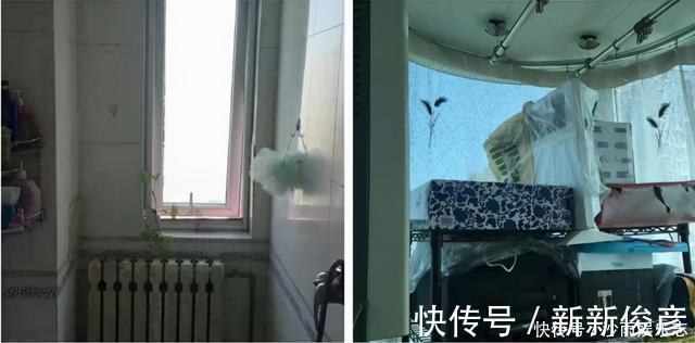 客餐厅|一个人住,怎么舒服怎么来!43㎡,麻雀虽小五脏俱全