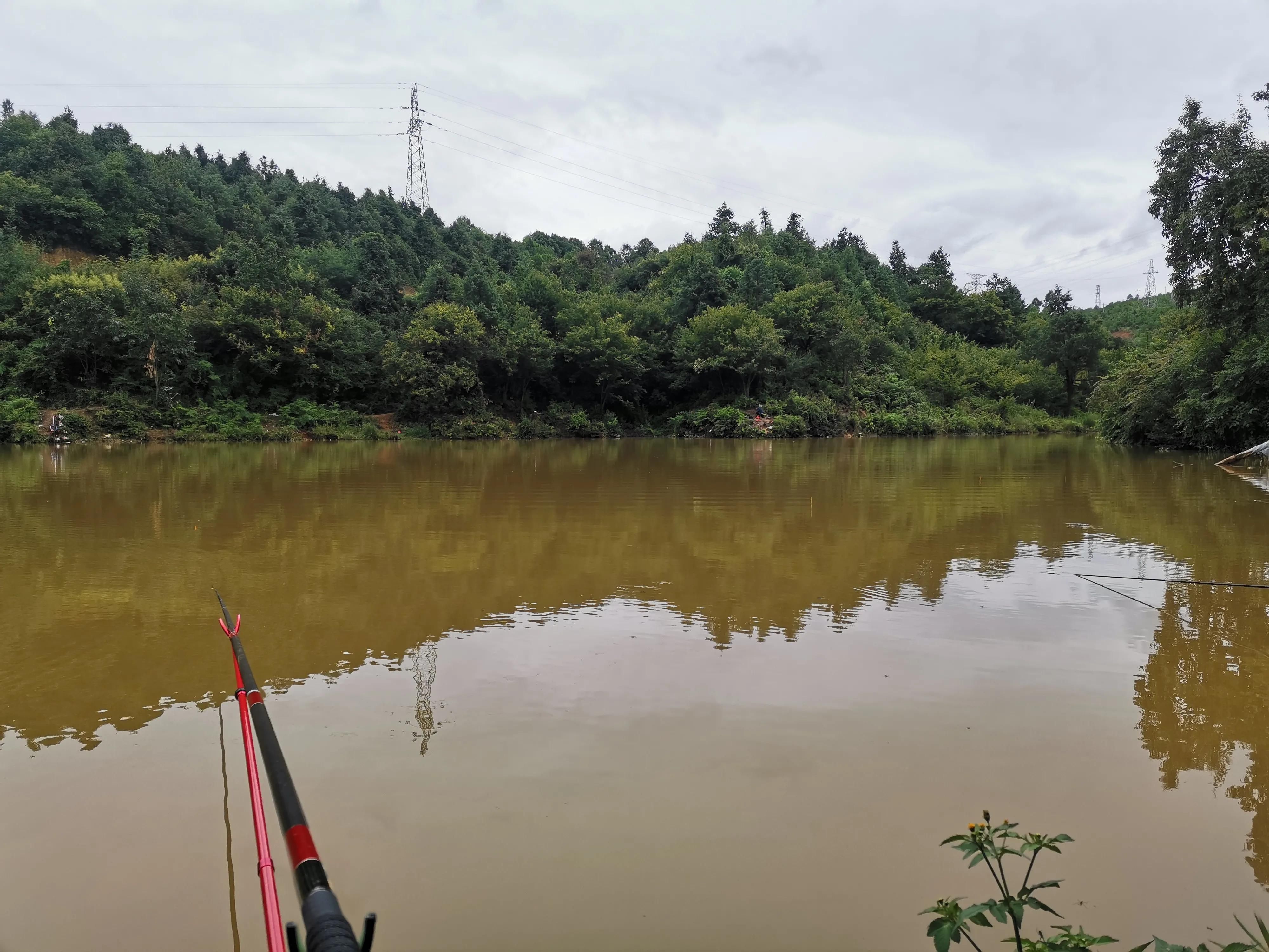 昆明|楚雄大新坝水库探钓，钓法饵料无限制，仅收50一天还能钓鲢鳙
