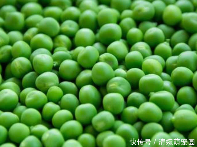  糖尿病|藏在身边的吸糖王，每天敞开吃，稳定血糖助你远离糖尿病