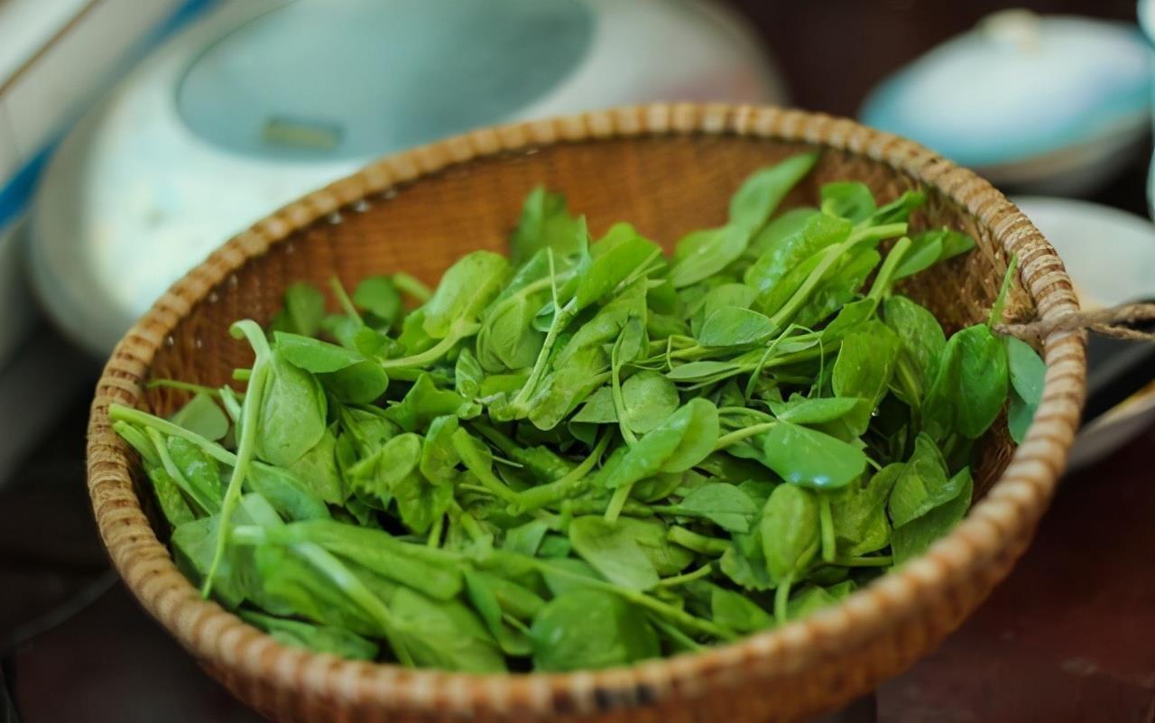 人到中年不妨坚持吃3种食物,滋肝明目,延缓衰老,增强抵抗力