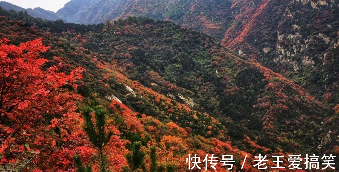 秋色|雨后的西安，值得期待