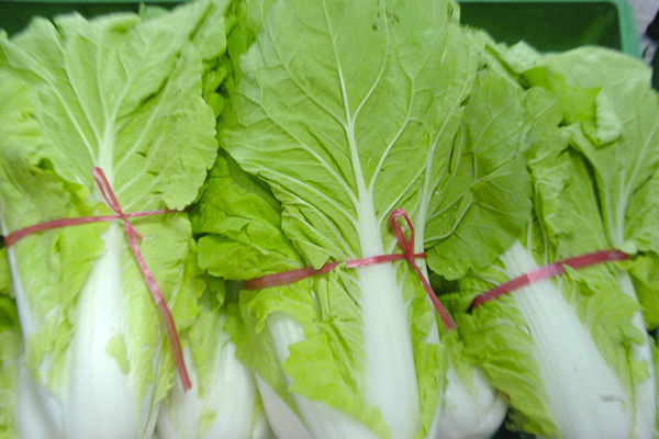 甲醛|忠告看见此种白菜不要买，更不要吃，现在知道还不晚！