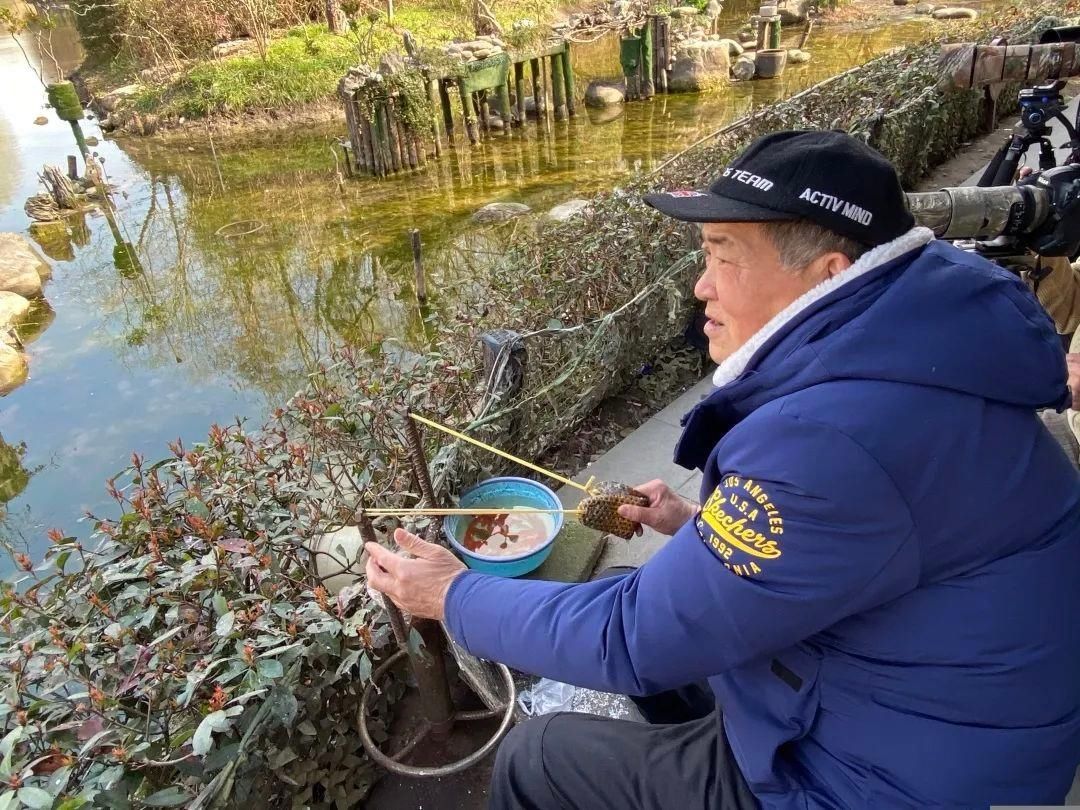 鸟语花香好春光！杨浦这片“秘境”满足你对城市森林的美好想象