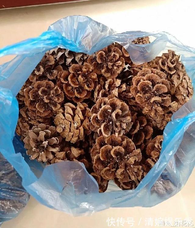 10种“垃圾”不要丢,拿来养花效果好,还能省下一笔钱