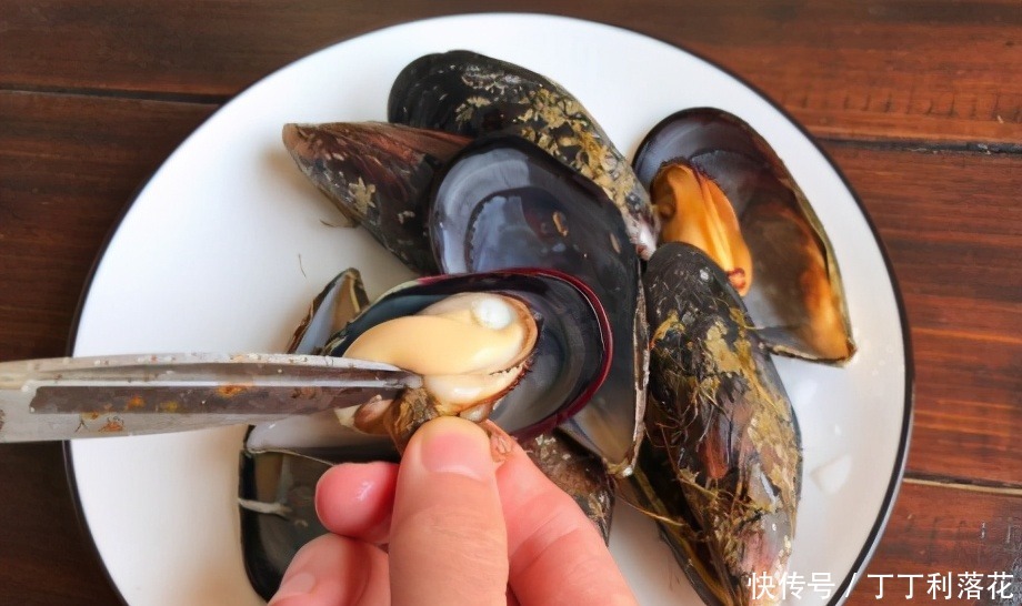 3月正当吃的海鲜,肉肥味鲜美营养高,4块钱一斤,错过可惜了