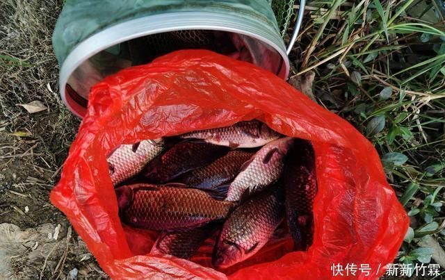 双铅钓为啥比跑铅钓更灵敏双铅钓该怎样调漂建议新手收藏