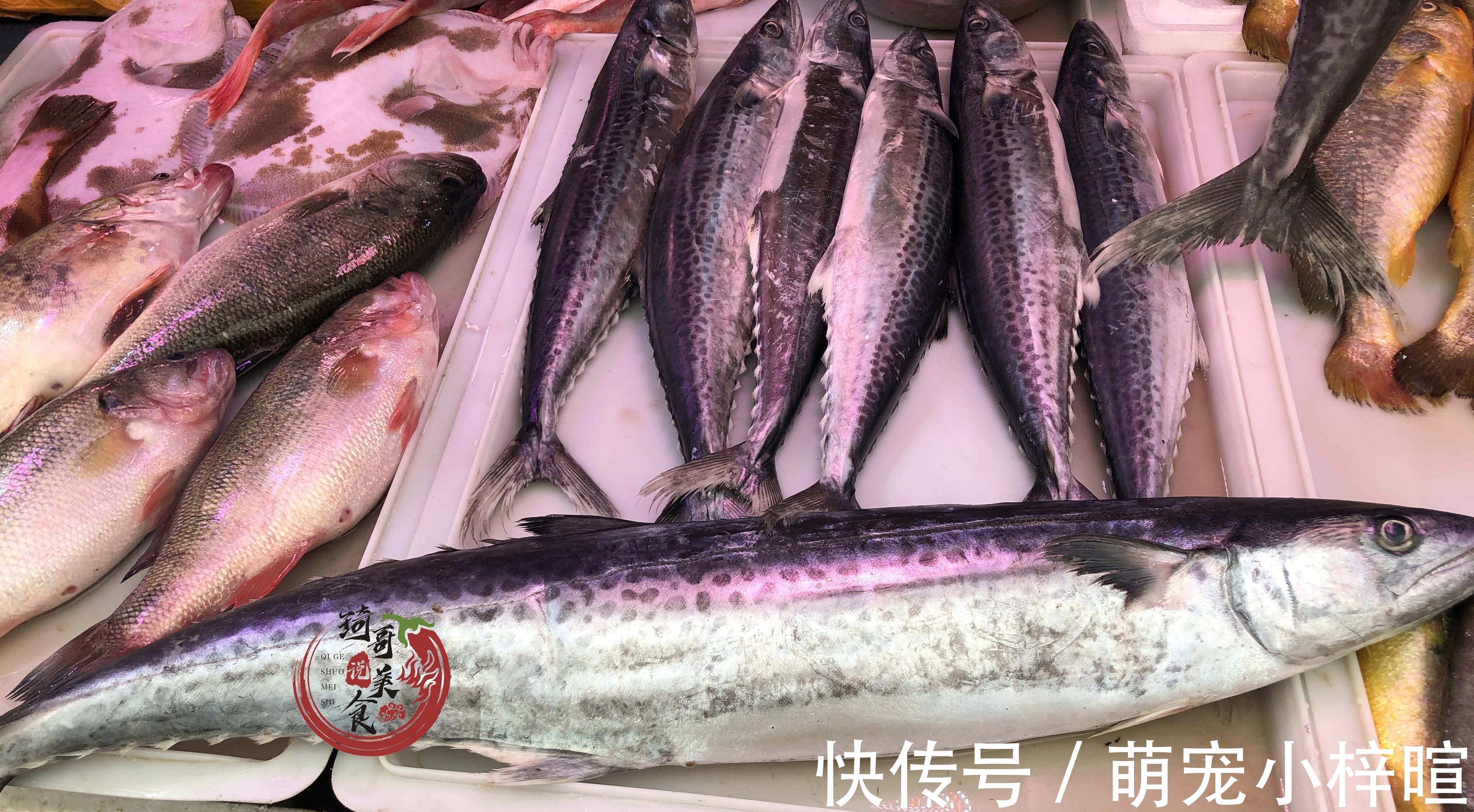 去市场买鱼，这5种鱼放心买，纯野生的，人工没法养，便宜还美味