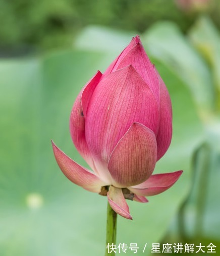 福星高照|7月中旬开始,福星高照,4属相福禄不缺,生活更上一层楼