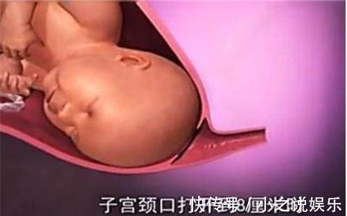 用力过猛|胎儿那么大,如何从那么小的产道出来看完知道女人有多伟大!