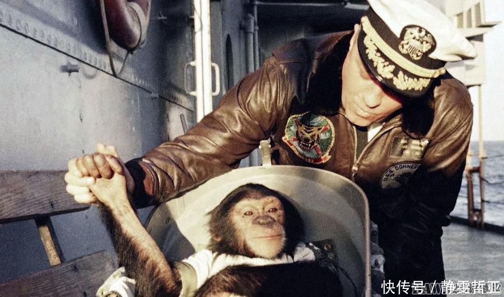 宇航员 60年前 美国第一名宇航员进行太空飞行 猩猩“哈姆”写入航天史