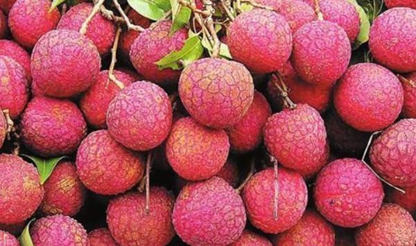 医生从不吃的4种水果,再馋也要忍住,越吃”湿气“越重