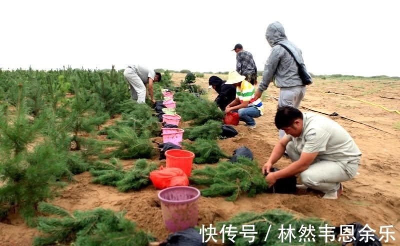 亿利资源集团|世界上唯一沙漠变绿洲的地方, 中国人再次向世界证明“奇迹”!