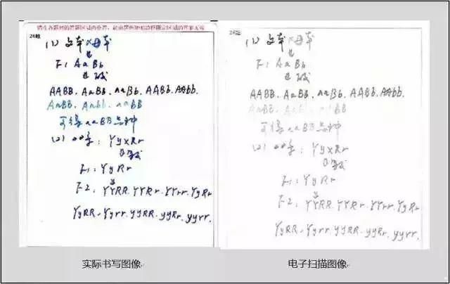 考前|高考试卷扫描后什么样评卷误差怎么回事注意这些，考前多得20分