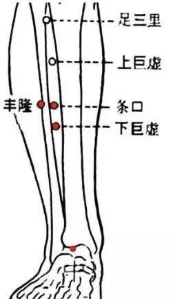  牢记全身疾病特效穴，专穴专用！