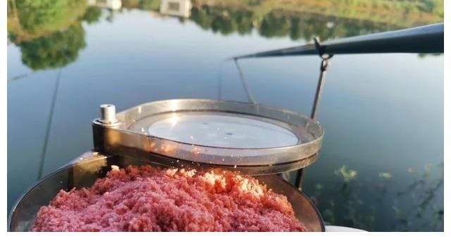 钓鲢鳙能打窝吗？这2位大师给出不同观点，到底该听谁的？