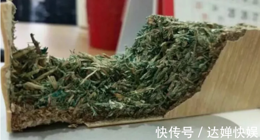 池女士|我扛过了买房的苦，却因为装修崩溃了……