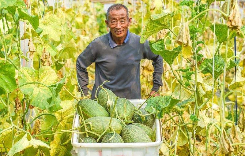 康熙|康熙曾犯下一大错,因无知叫错这个水果的名字,400年后你我仍在叫