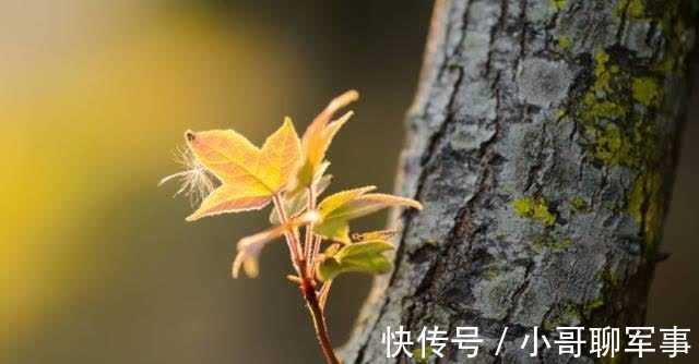 和?|做人,性格坚忍的人有多厉害?看完这个历史故事,或许你就明白了