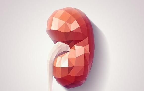 肝脏|枸杞配“一物”泡水,坚持喝3天,肾补满了,肝也变“干净”