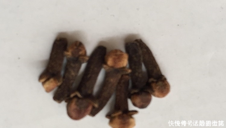 钓友|手把手教你自制钓鱼小药 成本低诱鱼效果好通杀鲫鲤草鱼