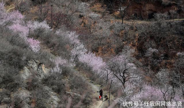 无人机在晋南大山发现桃花岛，7旬老夫妻隐居山中生活让人羡慕