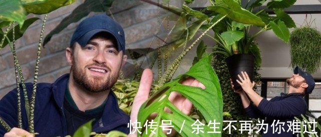 真土豪!英国小伙家里养珍奇植物,单一片叶子就能卖上10万