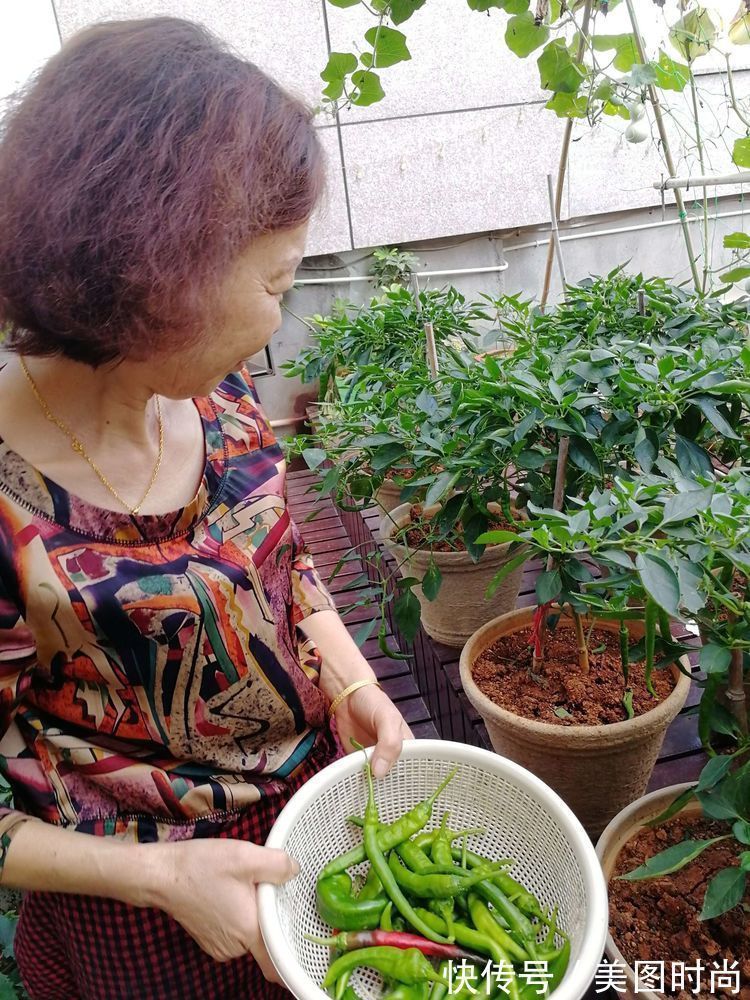 菜地|2年前买了个300㎡的露台,打造成屋顶花园,过上了田园生活
