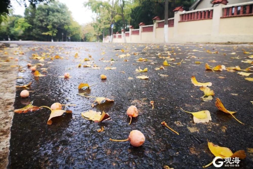 有毒!有毒!有毒!别吃!别吃!别吃!严重会致命!