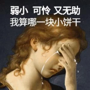 2017四六级成绩查询